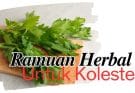 5 Manfaat Ramuan Herbal untuk Kolesterol: Benarkah Lebih Ampuh daripada Obat Kimia?