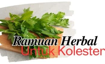 manfaat ramuan herbal untuk kolesterol