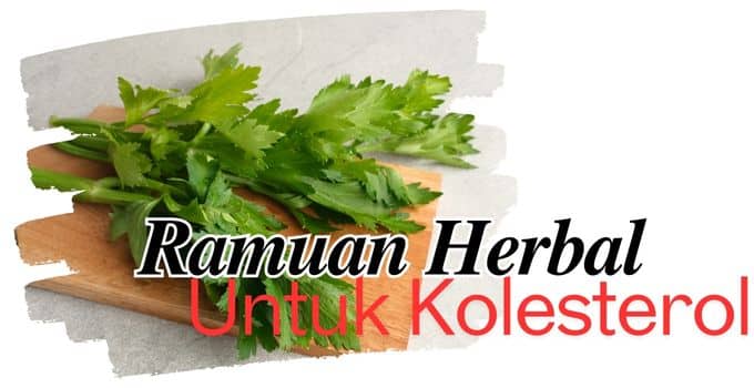 manfaat ramuan herbal untuk kolesterol